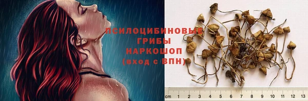 mdma Козловка